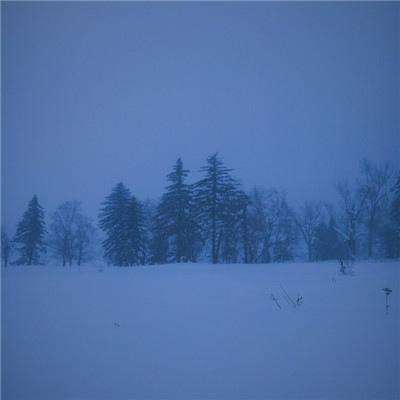 真人斗牛牛最新版下载手机版