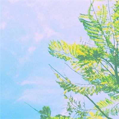 可下分电玩app下载