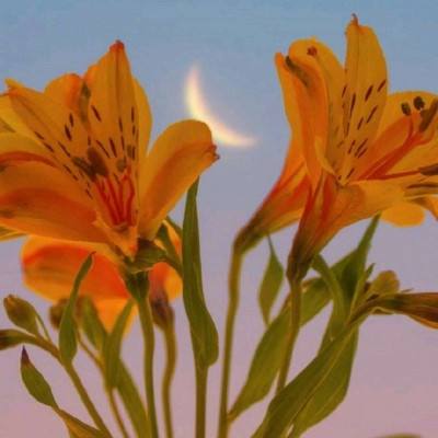 开云·体育(kaiyun)app下载